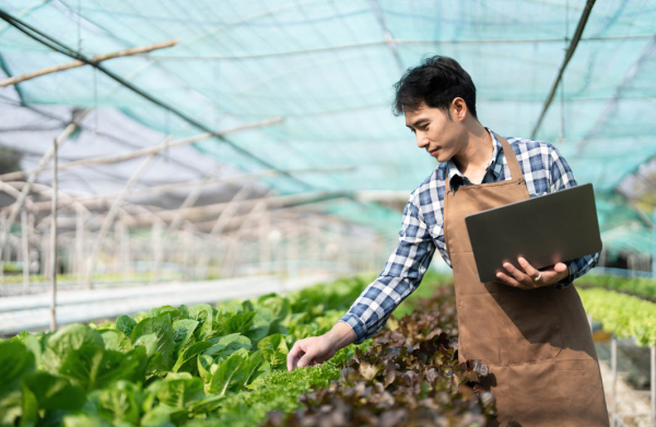 บีโอไอปั้นนวัตกรรมอาหาร ต่อยอดวัตถุดิบเกษตร สู่ฮับอุตสาหกรรม &ldquo;กลิ่น-รส&rdquo; ระดับโลก